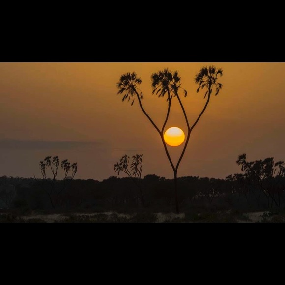 Meet your Posher, Joyce - Picture 1 of 1